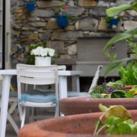 Apartamento Casa Gatto Miao Rapallo Exterior foto